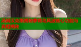 汤姆汉克斯揭秘萝莉岛风波核心功能与真相揭秘