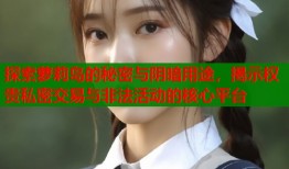 探索萝莉岛的秘密与阴暗用途，揭示权贵私密交易与非法活动的核心平台