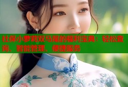 社保小萝莉双马尾的福利宝典：轻松查询、智能管理、便捷服务