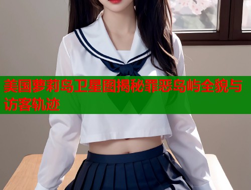 美国萝莉岛卫星图揭秘罪恶岛屿全貌与访客轨迹