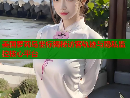 美国萝莉岛坐标揭秘访客轨迹与隐私监控核心平台