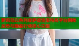 萝莉岛以色列摩萨德情报特务平台揭秘反恐与隐蔽行动核心功能