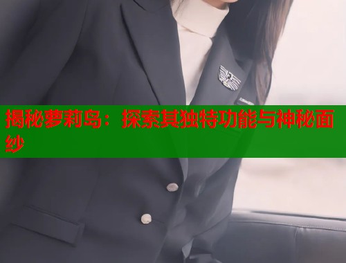 揭秘萝莉岛：探索其独特功能与神秘面纱