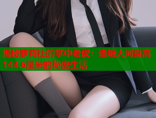 揭秘萝莉社的掌中老虎：逢坂大河身高143.6厘米的秘密生活