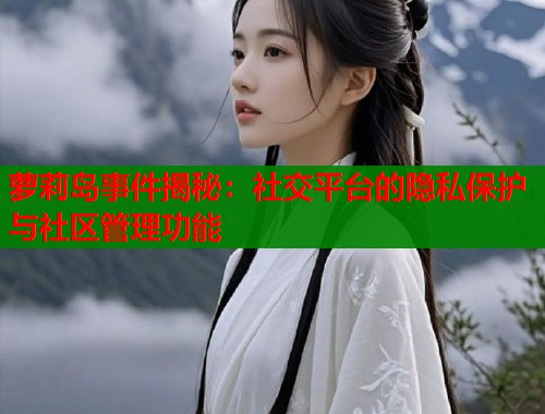 萝莉岛事件揭秘：社交平台的隐私保护与社区管理功能